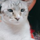 테크노연합 동물병원 이미지