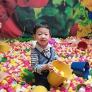 더예쁜;꽃