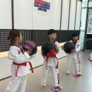 키즈태권도장 이미지