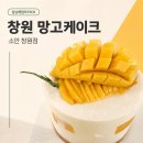 반송로-1 | 창원케이크 소안 창원점 망고케이크 포장 후기
