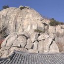 금생농장 Daum카페