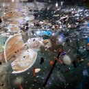 플라스틱 오염: 국제 조약으로 해결할 수 있는 세 가지 문제 이미지
