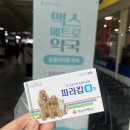 메트로정약국 | 산본역 맥스메트로약국 강아지 개 구충제 파라캅 구매 후기