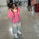 39이티씨(39etc) | [33개월 아기랑 오키나와] 3박 4일 비용(이스타 비행기, 숙소) / 일정 총정리