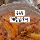 해뜰날 이미지