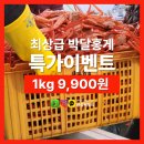 싱싱씨푸드