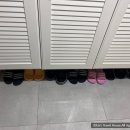 검빵이네 이미지