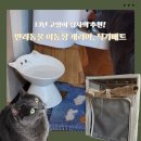 토토펫 | 고양이 집사라면 필수! 펫프랜즈에서 산 고양이 용품 추천 솔직후기! 식기매트,고양이이동장캐리어,낚시대