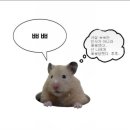 뜻밖의발견 이미지