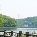 반월호수둘레길 화장실 이미지