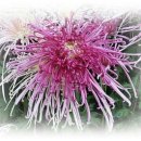 친구여인숙 이미지