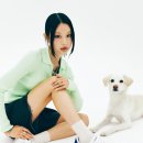 리베르테 이미지