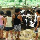 최고다목장 이미지