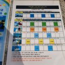 남해전파사 | 거제 아이와 갈만한곳 놀거리 추천 - 거제 씨월드 돌고래 벨루가쇼
