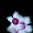 구름이 머무는곳 이미지