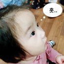 장모토종닭