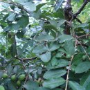 기현2농장 이미지