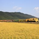 하나로 숙박 이미지