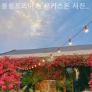 애드온제주 | [ 애월 맛집 추천 ] 봉성프리마 & 포커스온 사진관 가볍게 식사하기 좋은 집