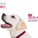 헬스케어서비스