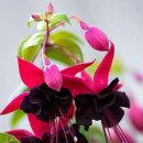 구암동112 이미지