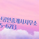 쌍용부동산공인중개사사무소 이미지