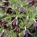 우리들 세상 이미지