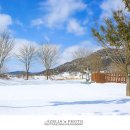 고인돌유적지2 이미지