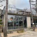 황지연못 가는길 이 이미지