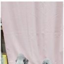 키티앤퍼피 이미지