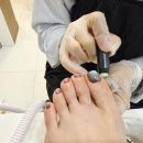 헤이도네일