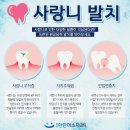 건강한건치과의원 이미지