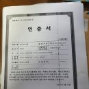 배추만해진 무농약 로메인 상추와 맵지 않는 미인고추 입니다 이미지