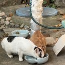 정만농장 이미지