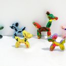 PUPPY POP 이미지