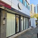 예쁜 애견 미용 | 대구 강아지 미용 전후 비교 | 수성구 애견미용 ‘댕띠끄’ 솔직 후기