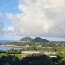 대섬농장 이미지