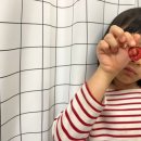 캘리포니아 | 캘리포니아 생체리 직송 후기! 아이 간식으로 딱 좋은 프리미엄 체리
