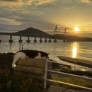 달에게 빌려온 하루 이미지