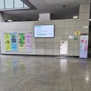 트라이튼 | 북서울꿈의숲아트센터 2026 가족 라이브 뮤지컬 인어공주 좌석 할인 주차꿀팁