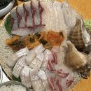 목동회수산 | [오목교] 목동 횟집 콜키지 프리 '사철수산' 횟집 내돈내산 후기