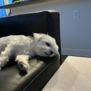 공동생활가정 2(남) 아람터 | 일상 | ASU 첫학기 시작, 챌린지 중단 선언, 심리상담(TCI, MMPI-2, 문장완성검사) 받은 후기, 삼겹살 파티