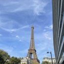 아름다운쇼핑나라 | 파리 신혼여행 리얼 후기｜아마조니아 맛집부터 샤넬 깜봉점 지갑 쇼핑까지