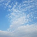 파도농장 이미지