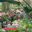 융투어(주) | 6월 제주 카멜리아힐 수국 현장상황 및 입장료 할인 꿀팁