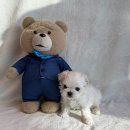 도그마루 강아지고양이 인천논현점 이미지
