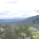 신법농장 이미지