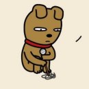 카톡