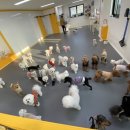 가모스타그램 이미지