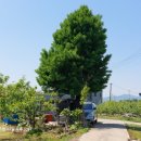 소용농장 이미지